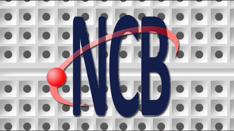Instituto NCB – IoT no mundo Agro